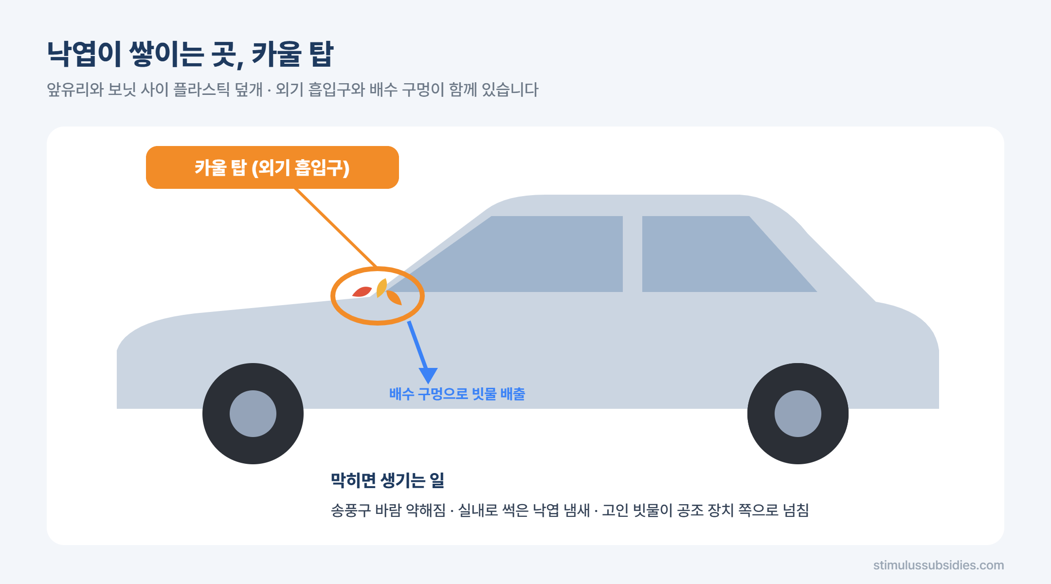 가을철 자동차 관리 카울 탑 낙엽 쌓이는 위치와 배수 구멍